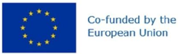 Co-funded by the European Union